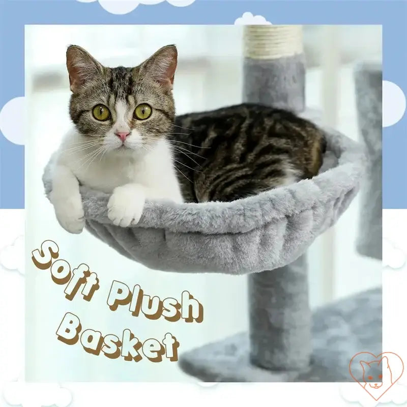 Cat lounging in a soft plush basket on a cat tree, enjoying comfort and relaxation.