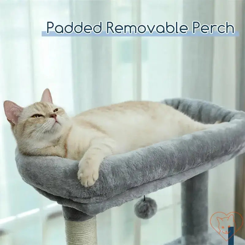 Cat lounging on a padded removable perch of a multi-level cat tree, enjoying a cozy spot to relax.