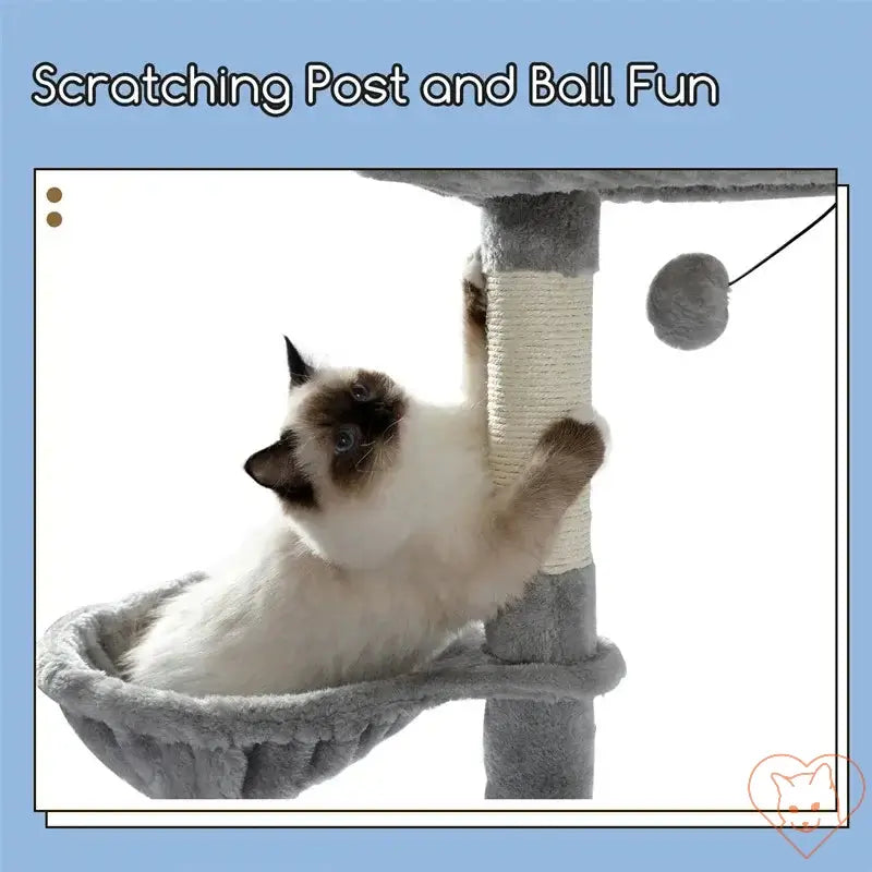 Cat enjoying the scratching post and ball on a multi-level cat tree house for ultimate playtime.