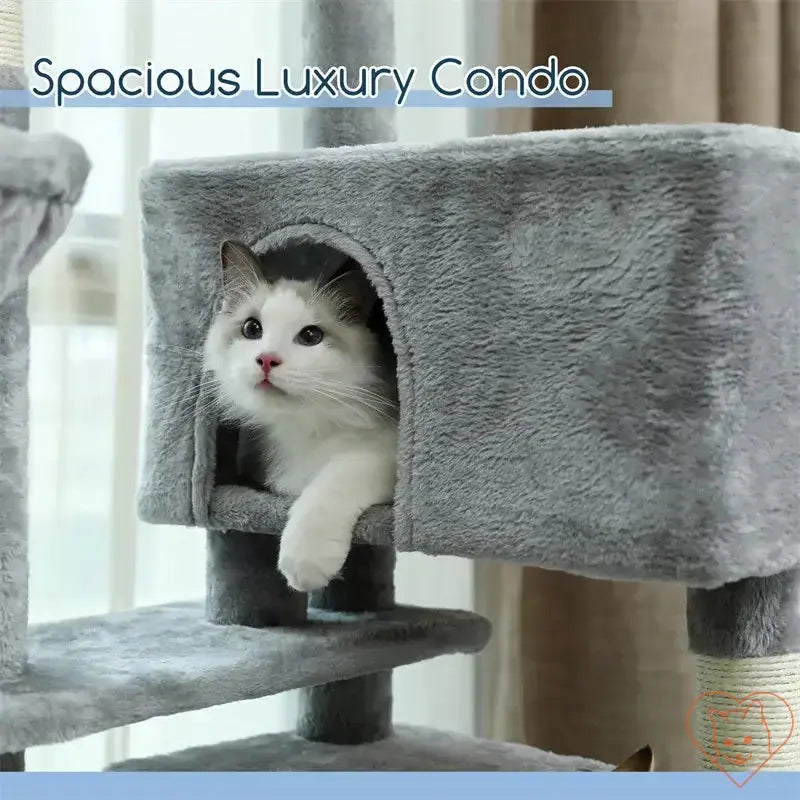 Grey cat lounging in spacious luxury condo within a multi-level cat tree house.