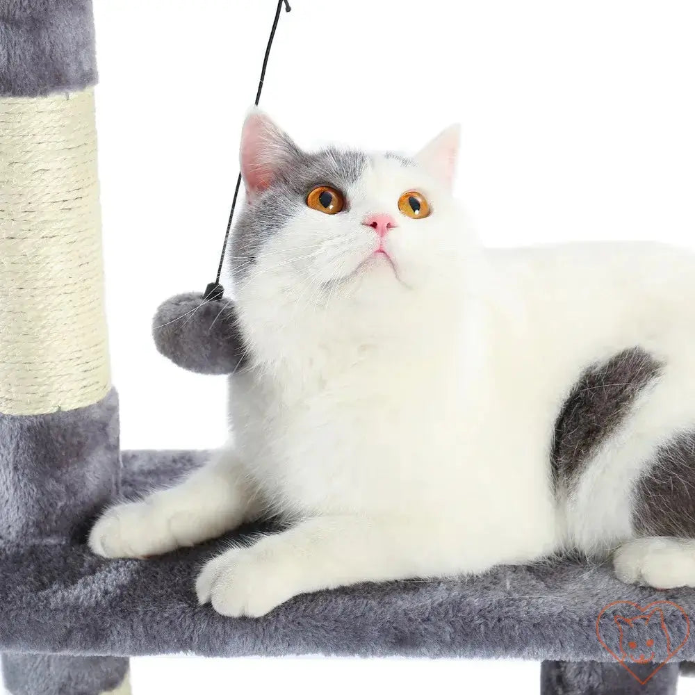 White and gray cat lounging on a cat tree, playing with a hanging toy, showcasing comfort and engagement.