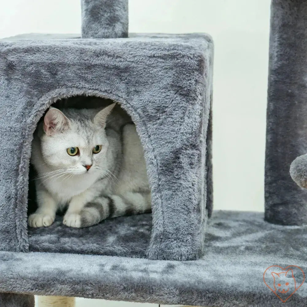 Gray cat lounging in a cozy multi-level cat tree condo for play and relaxation.