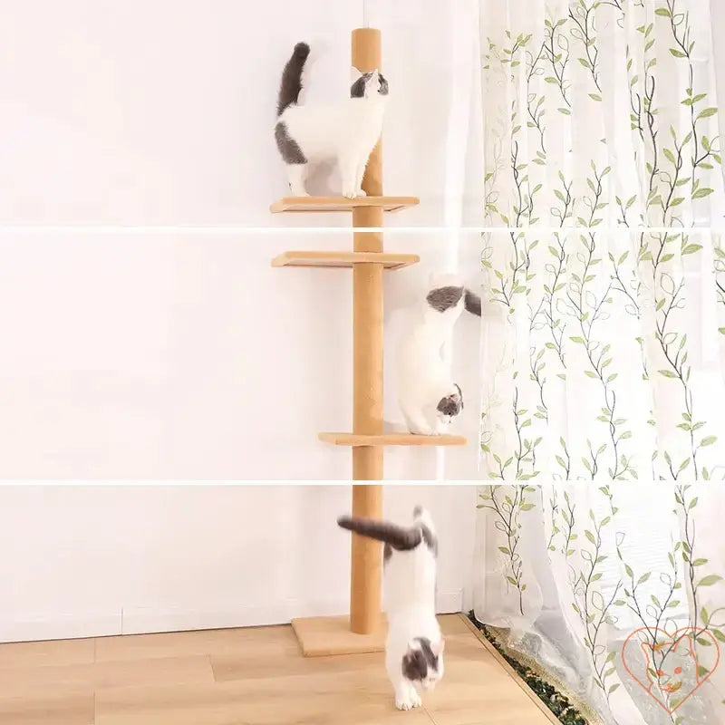 Cat Tree House Tower showcasing multi-level condo with cats climbing and playing on shelves next to a window.