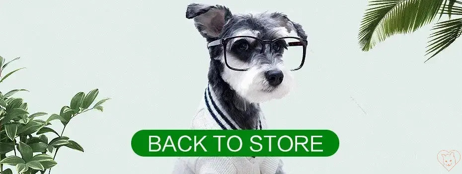 Cute dog wearing glasses, promoting the 'Back to Store' option with tropical plants in the background.