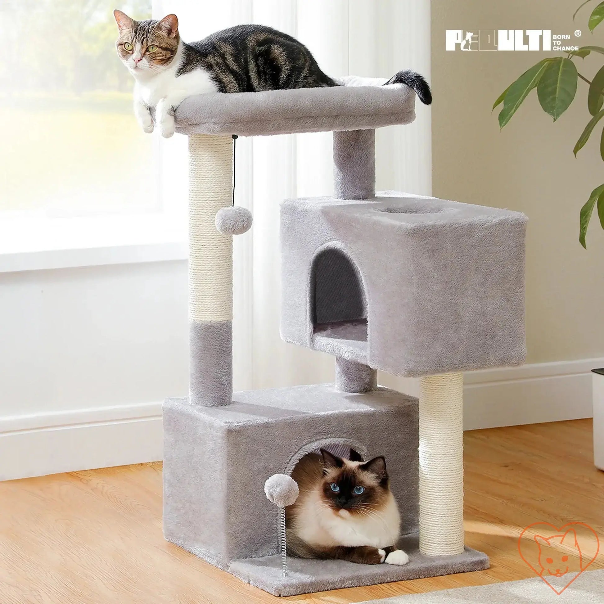 Cat tree for large cats featuring two condos and scratching posts, with one cat perched on top and another inside.