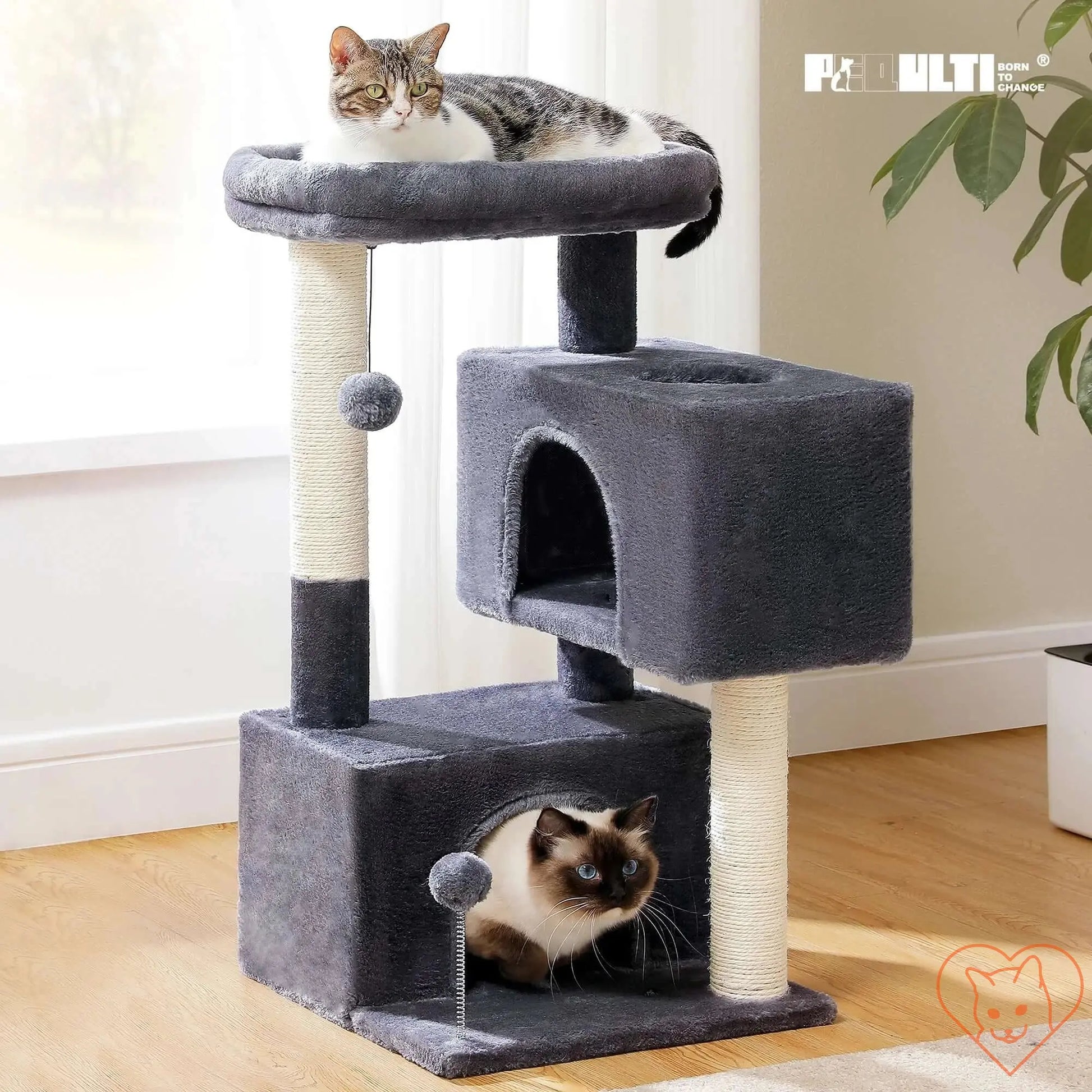 Cat tree for large cats with two condos, scratching posts, and cats lounging on top.