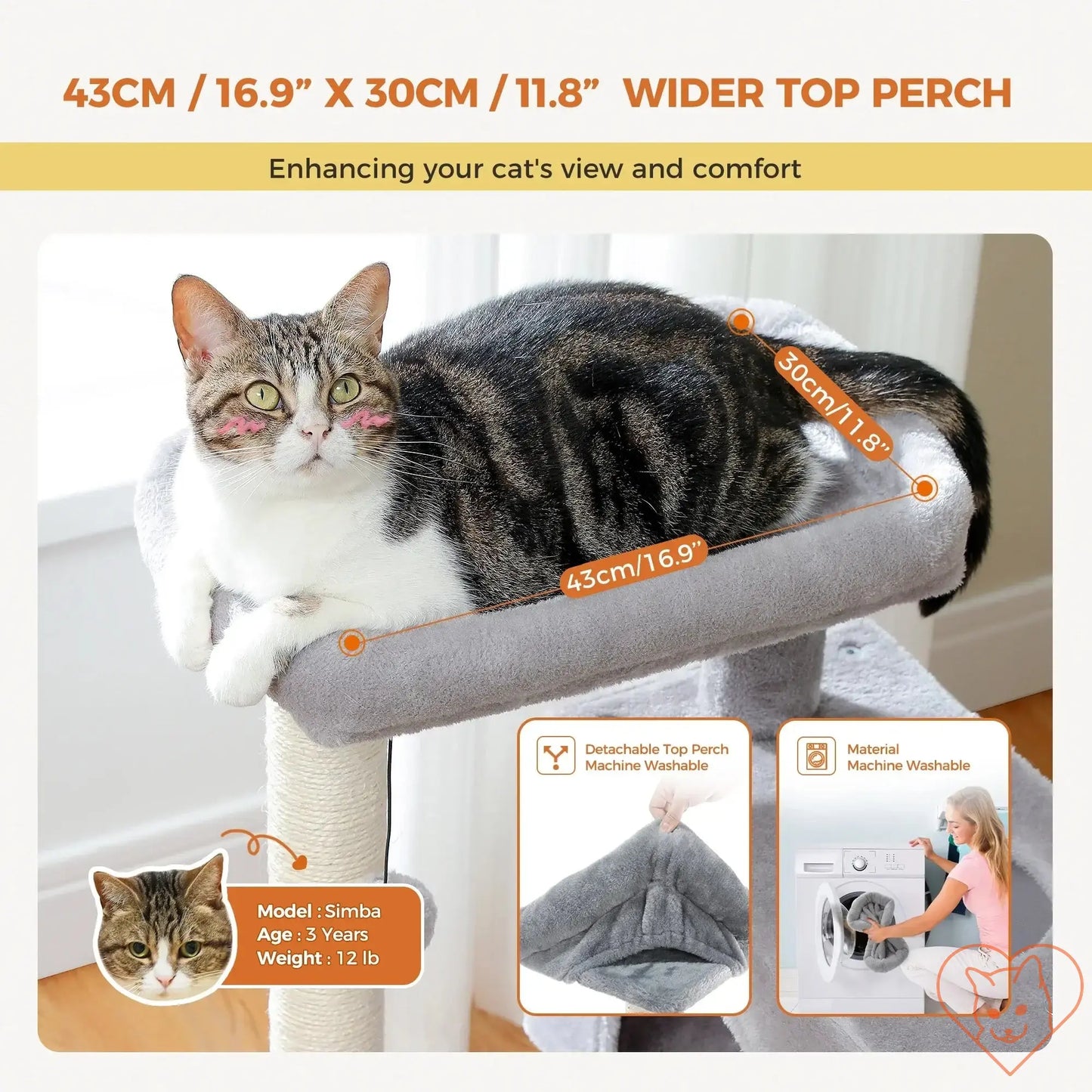 Cat resting on a wider top perch of a cat tree, showcasing dimensions and comfort features.