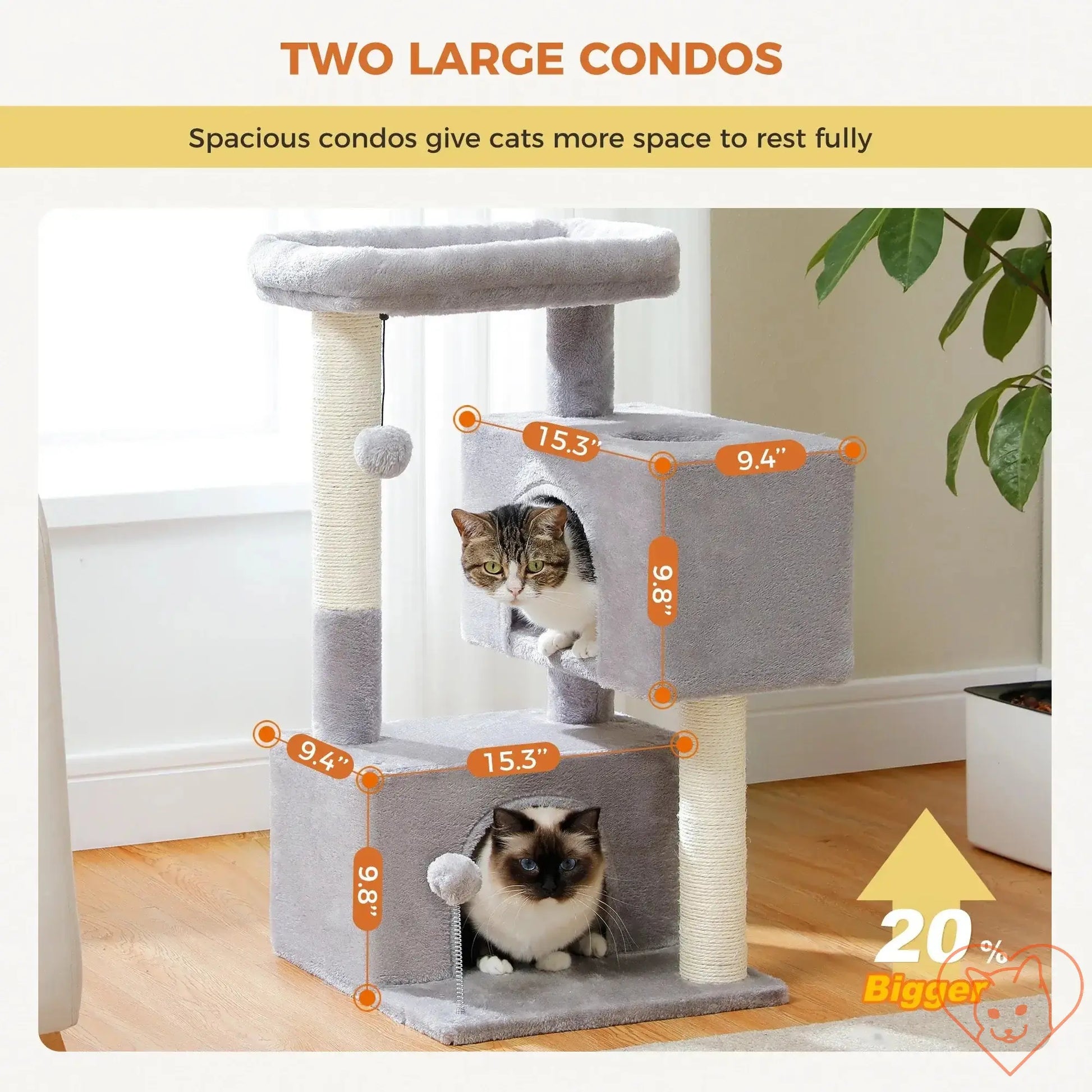 Cat tree featuring two large condos, dimensions highlighted, perfect for large cats to rest and play.