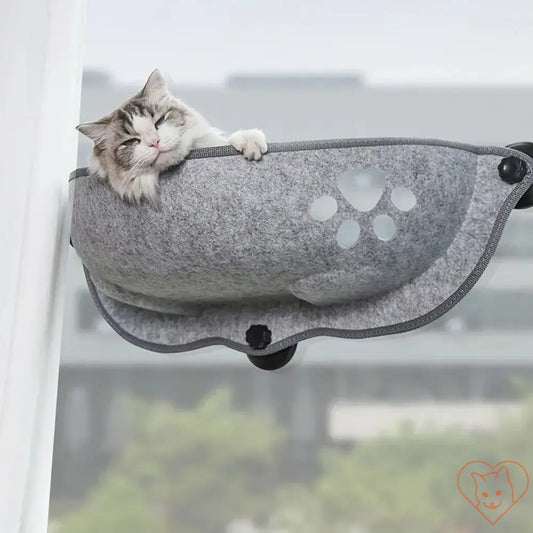 Cozy cat relaxing in a plush window hammock with strong suction cups, perfect for sunny lounging.