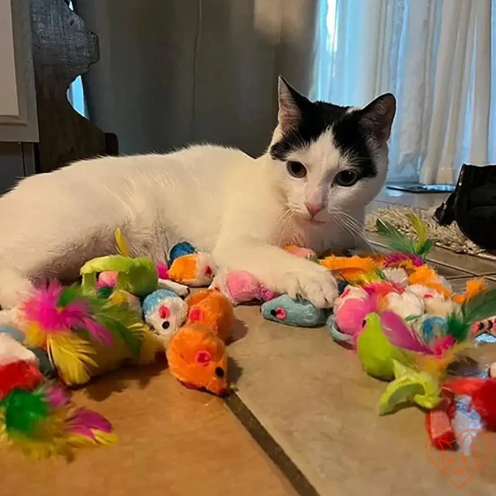 Playful cat surrounded by colorful faux fur catnip mouse toys, showcasing fun indoor playtime.