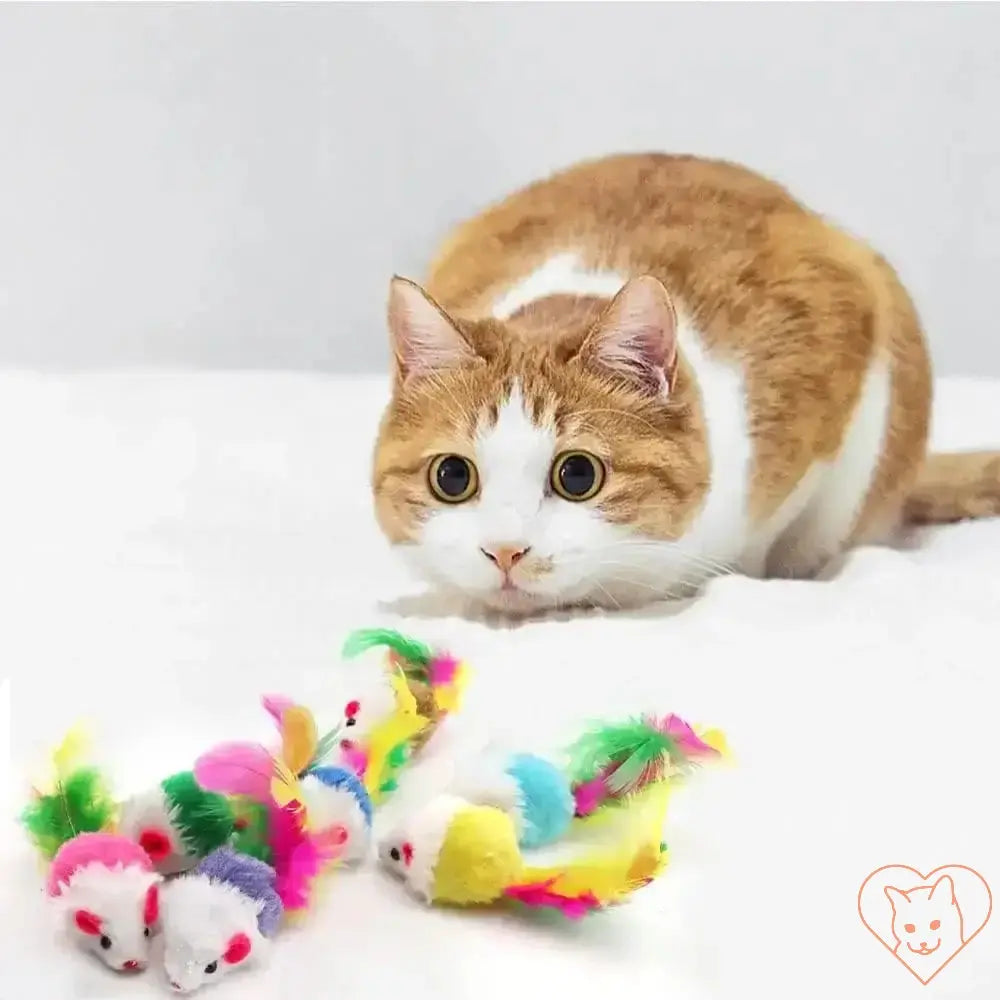 Playful cat eyeing colorful faux fur catnip mice toys on a soft surface.