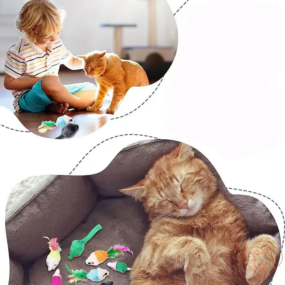 Child playing with cat and colorful catnip rattle mouse toys, while another cat sleeps peacefully nearby.