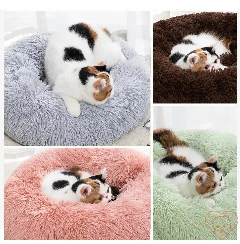 Cozy circular cat beds in pastel colors with a calico cat lounging comfortably on the soft, plush insulation.