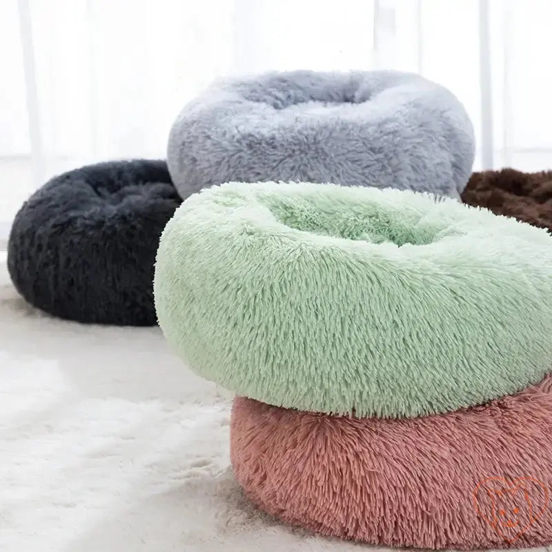 Circular cat beds in various colors, plush and cozy for ultimate feline comfort and warmth.