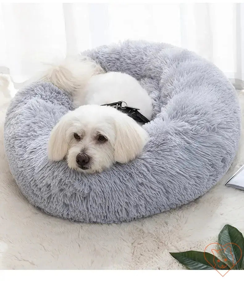 Cozy gray circular cat bed featuring plush insulation, perfect for pets seeking comfort and warmth.