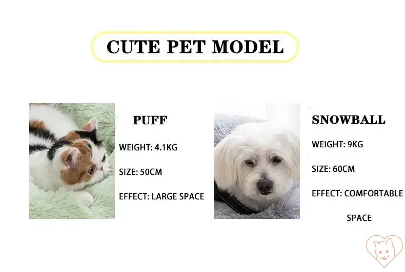 Cute pet model showcasing Puff the cat and Snowball the dog with details on size and comfort.
