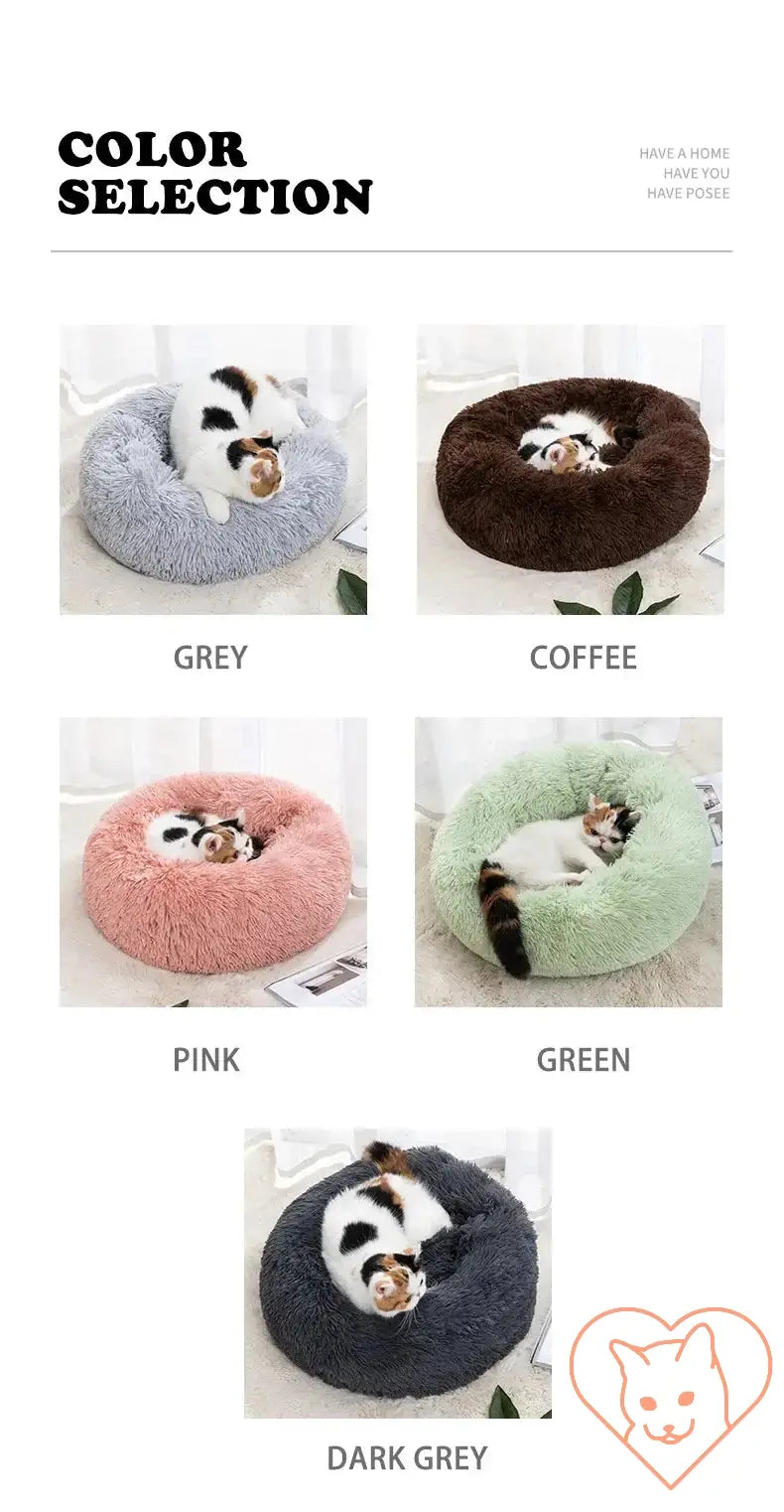 Color selection of plush circular cat beds in grey, coffee, pink, green, and dark grey with a cat cuddling.
