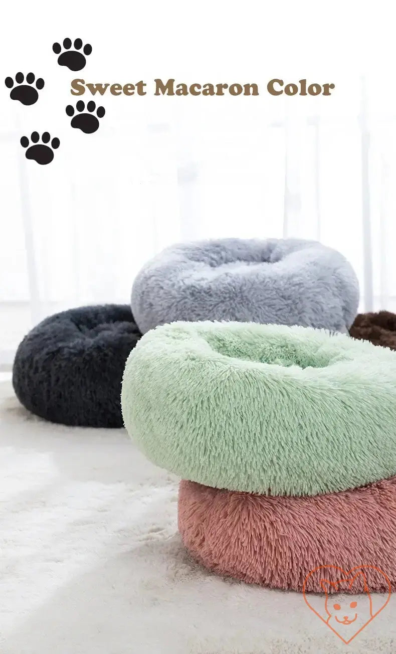 Circular cat beds in soft macaron colors: green, pink, gray, and black, designed for ultimate comfort and coziness.