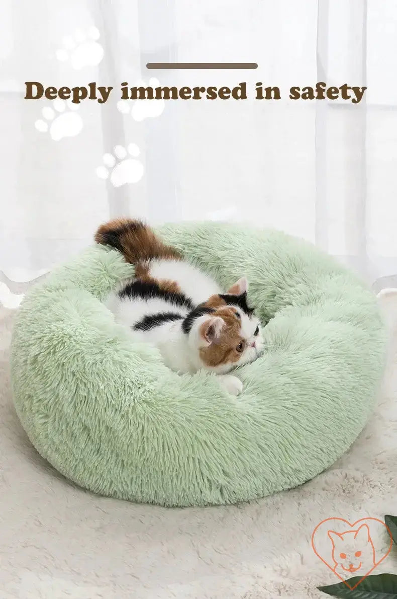 Cat relaxing in a soft green circular bed, showcasing comfort and safety in a cozy home environment.