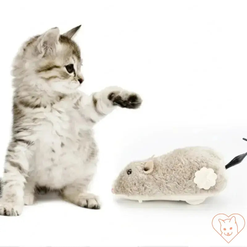 playful kitten reaching for a soft plush clockwork mouse cat toy, showcasing interactive fun and engagement.