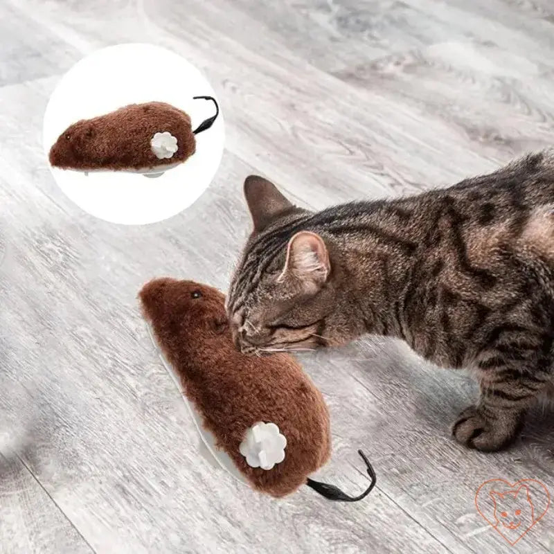 Cat interacting with a plush Clockwork Mouse toy on a wooden floor, showcasing its engaging design and soft texture.