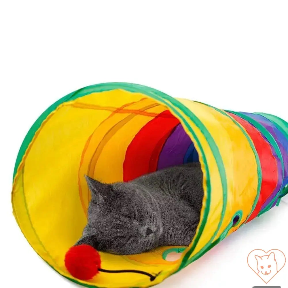 Cat sleeping inside a colorful collapsible tunnel, ideal for indoor and outdoor play.