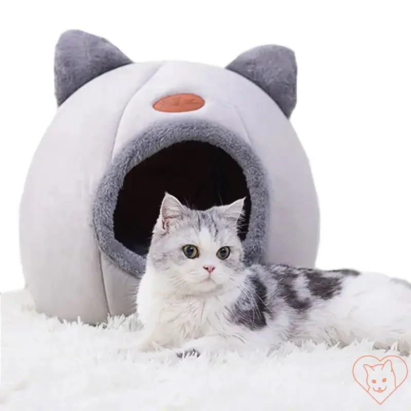 Cozy Winter Cat Cave Bed with gray cat resting outside, featuring soft Velboa fabric and cute cat ears.