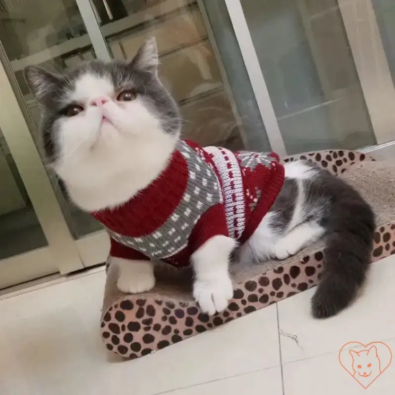 Cozy gray and white cat wearing a red winter sweater, lounging on a leopard print mat, perfect for chilly days.