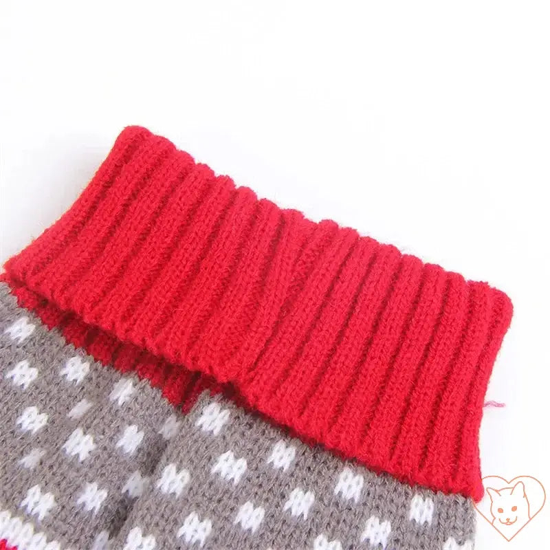 Close-up of the red ribbed collar on a cute cat sweater for added warmth and style.