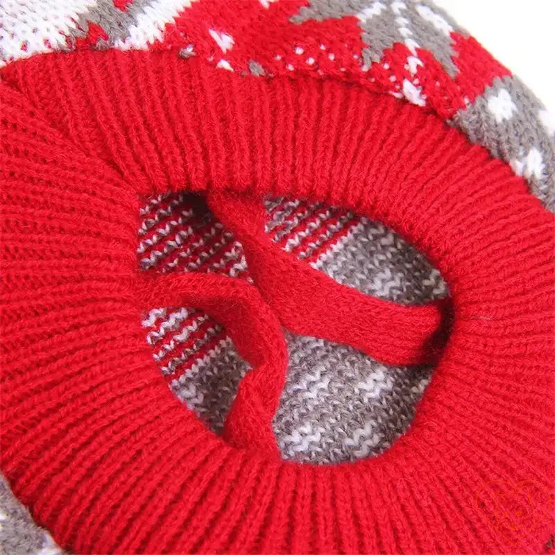 Close-up of the red collar of a cute cat sweater, featuring a cozy knitted design perfect for winter wear.