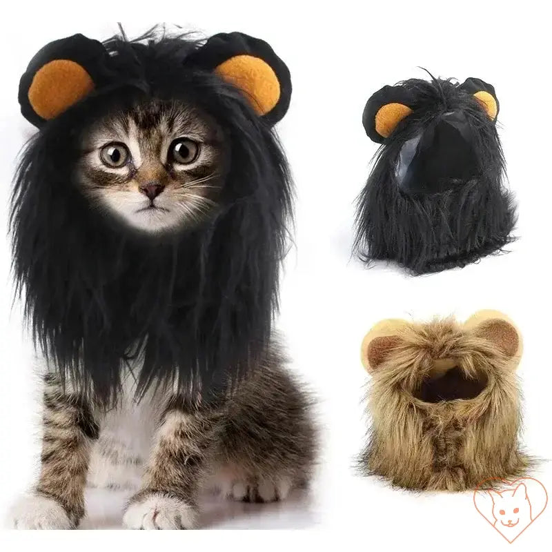 Adorable cat wearing a cute lion mane wig, perfect for cosplay and pet costume parties. Ideal for Halloween or fun photoshoots.