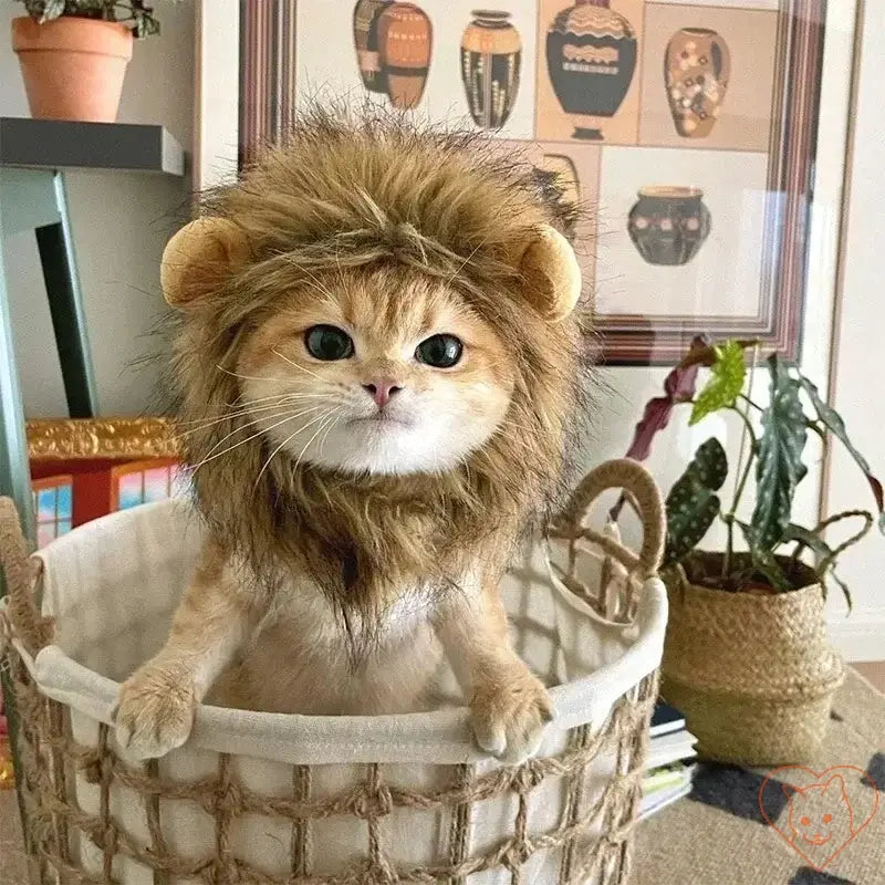 Adorable cat wearing a lion mane wig, sitting in a basket, showcasing a playful and funny cosplay look.