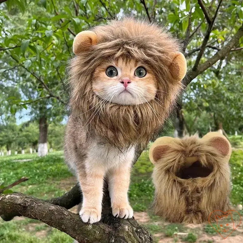 Cute cat wearing a lion mane wig, sitting on a tree branch outdoors, showcasing a fun cosplay accessory for pets.