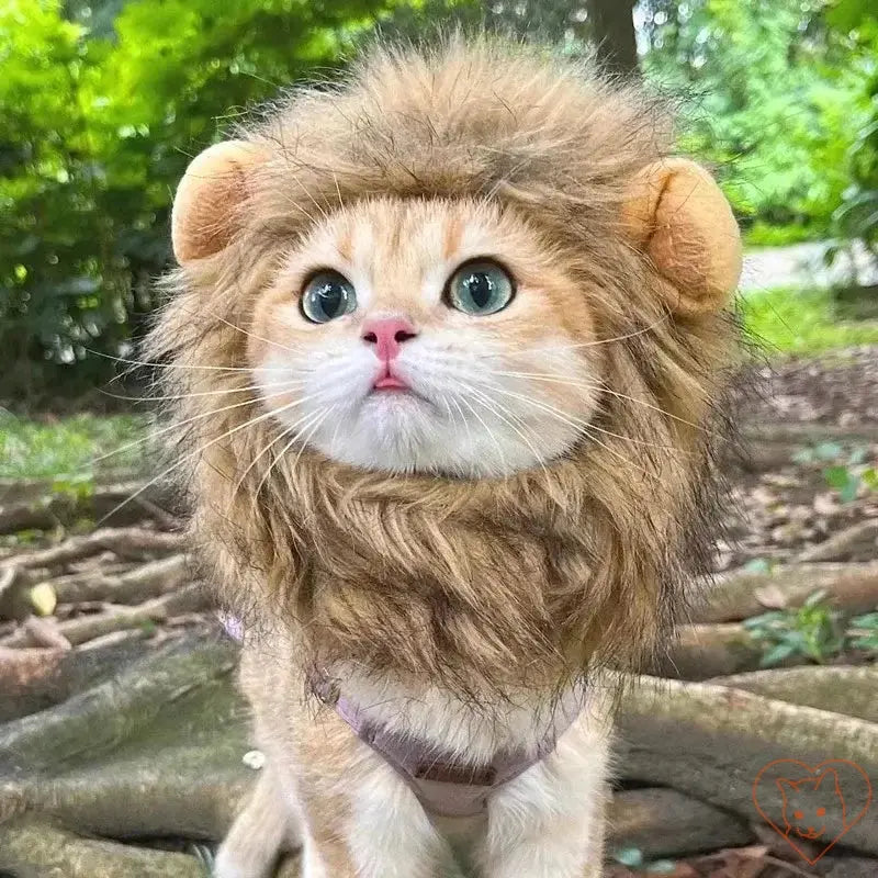 Cute cat wearing a lion mane wig, looking playful outdoors, perfect for cosplay and festive celebrations.