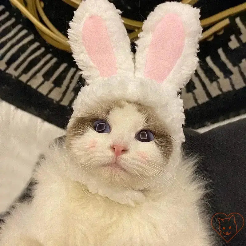 Adorable white cat wearing a fluffy bunny hat with pink ears, perfect for Easter or fun photoshoots.