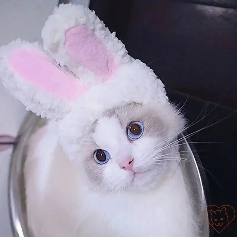 Adorable cat wearing a fluffy bunny hat with pink ears, perfect for festive occasions and playful photoshoots.