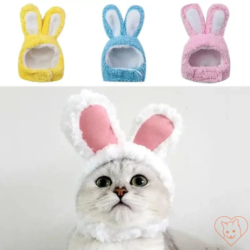 Adorable cat in fluffy bunny hat with yellow, blue, and pink variations, perfect for playful pet costumes and photo shoots.