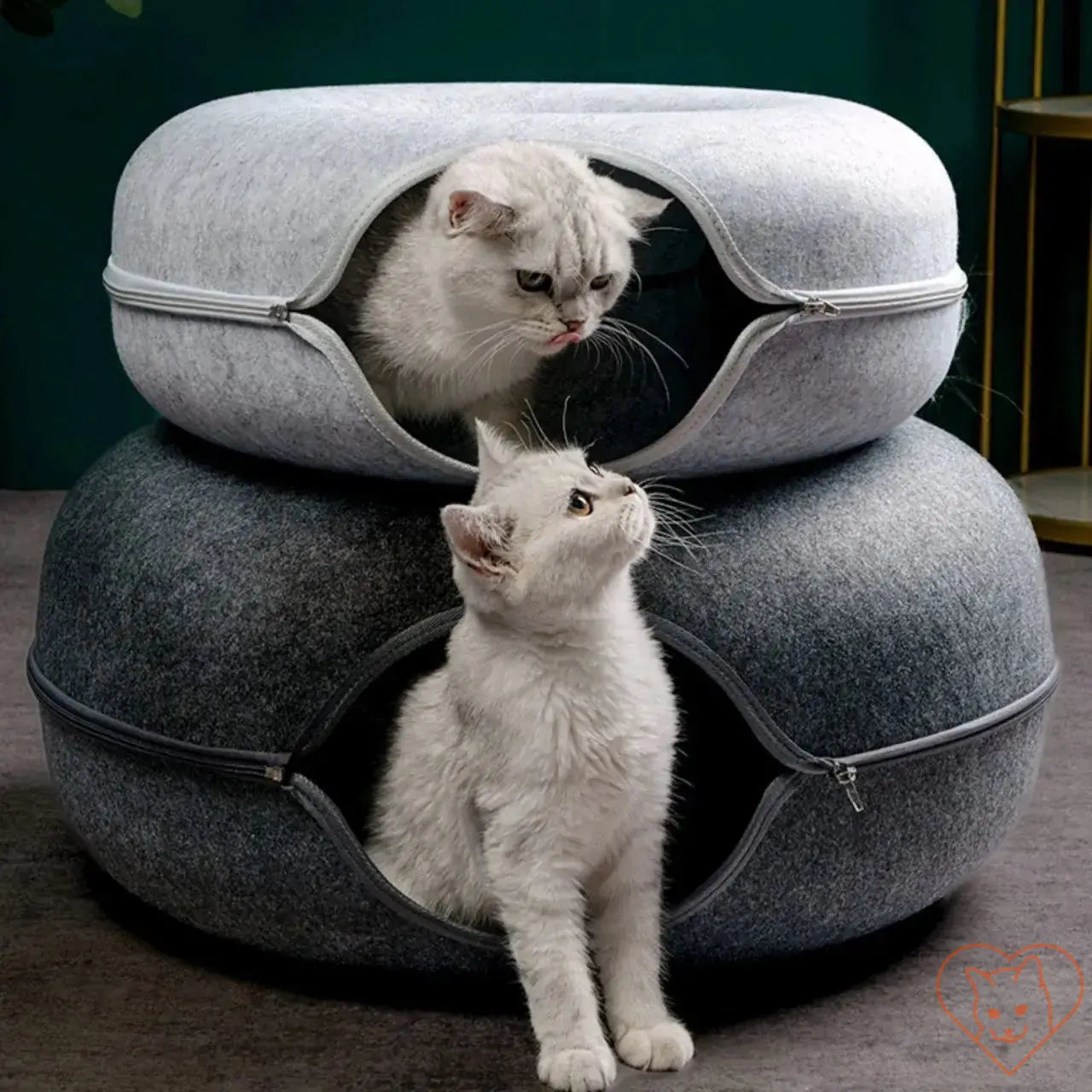 Two cats playfully interacting in a cozy Donut Cat Bed with Interactive Tunnel made of premium wool felt.