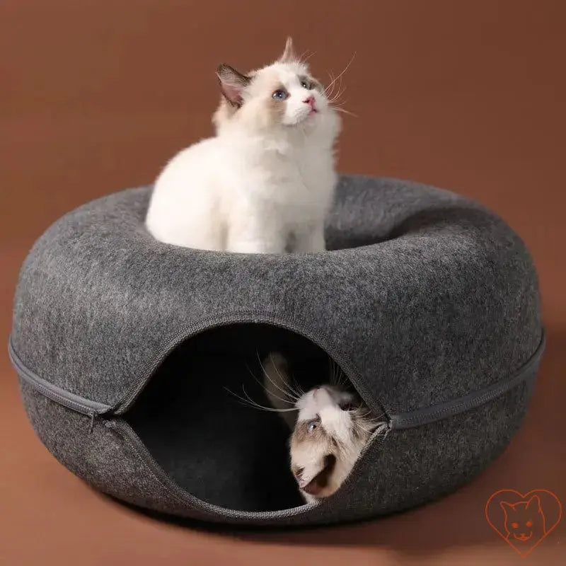 Two playful cats using a cozy donut cat bed with an interactive tunnel in premium wool felt.