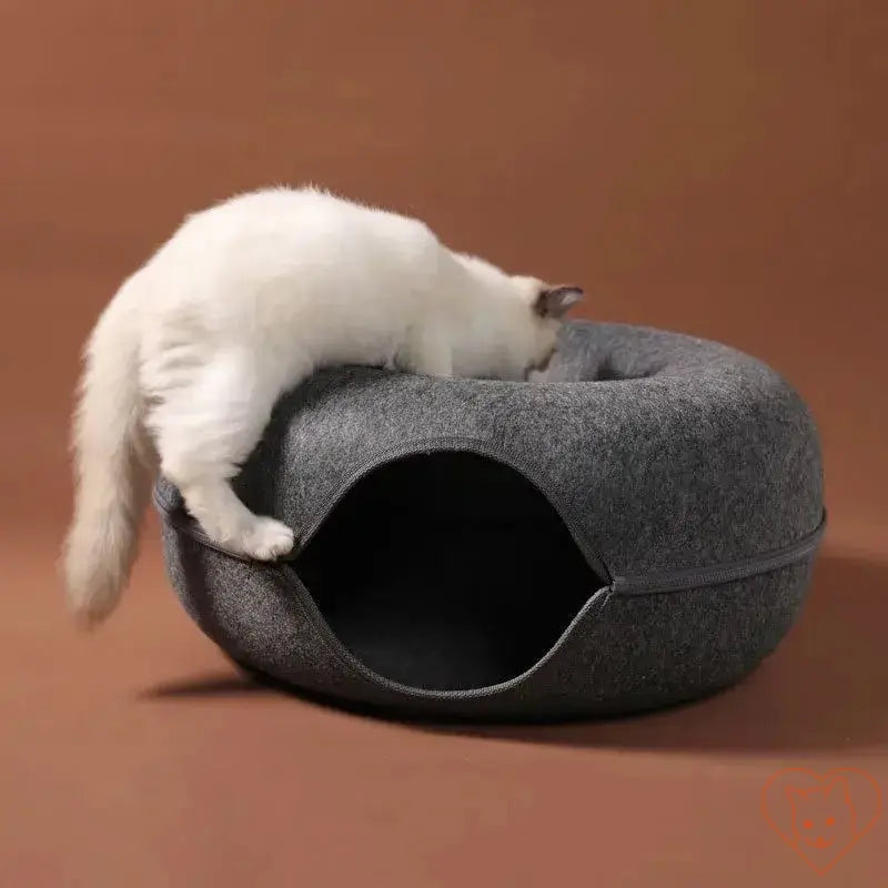 White cat playing with a cozy grey donut cat bed and interactive tunnel, showcasing comfort and fun.