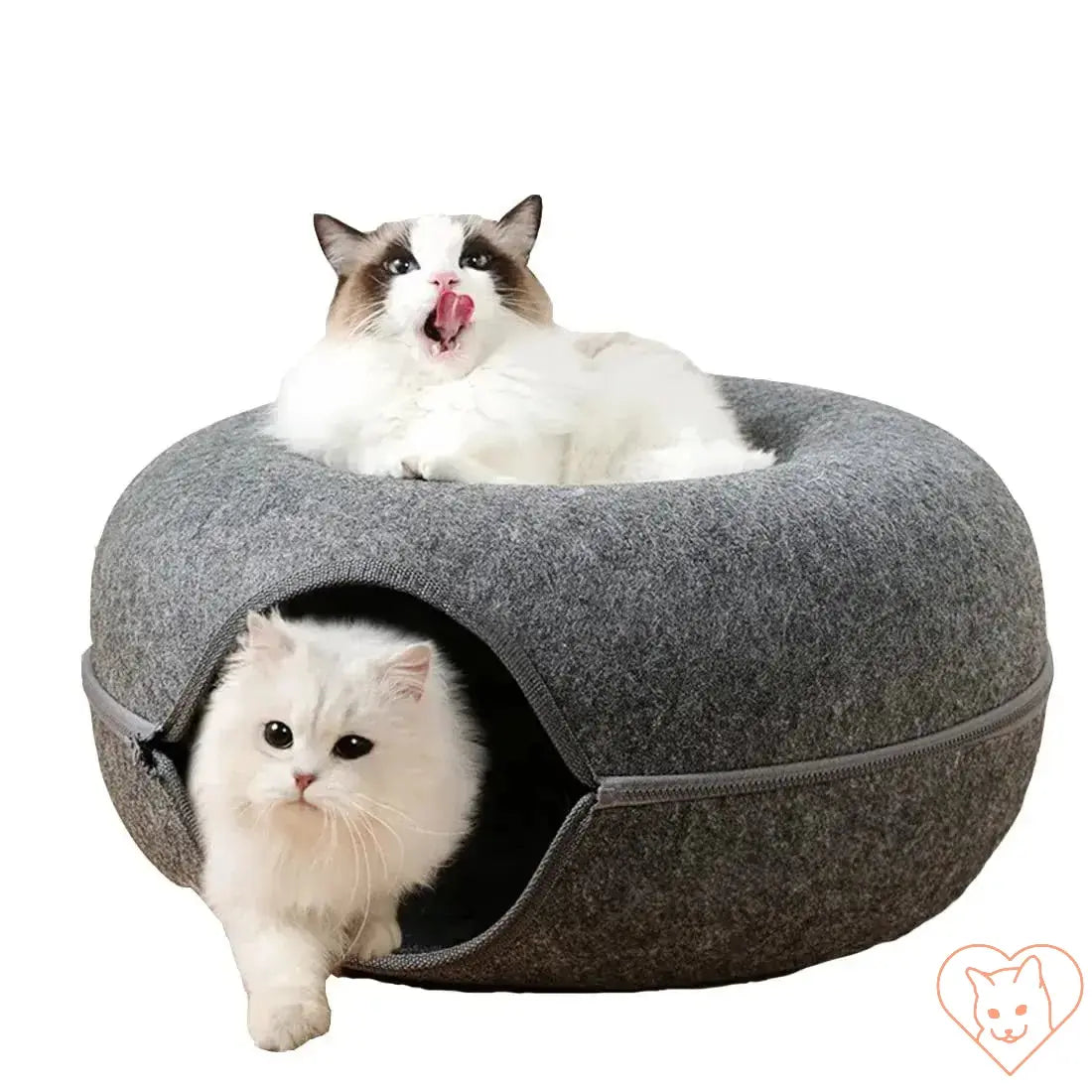 Two cats enjoying a cozy donut-shaped cat bed with interactive tunnel, made from premium wool felt.