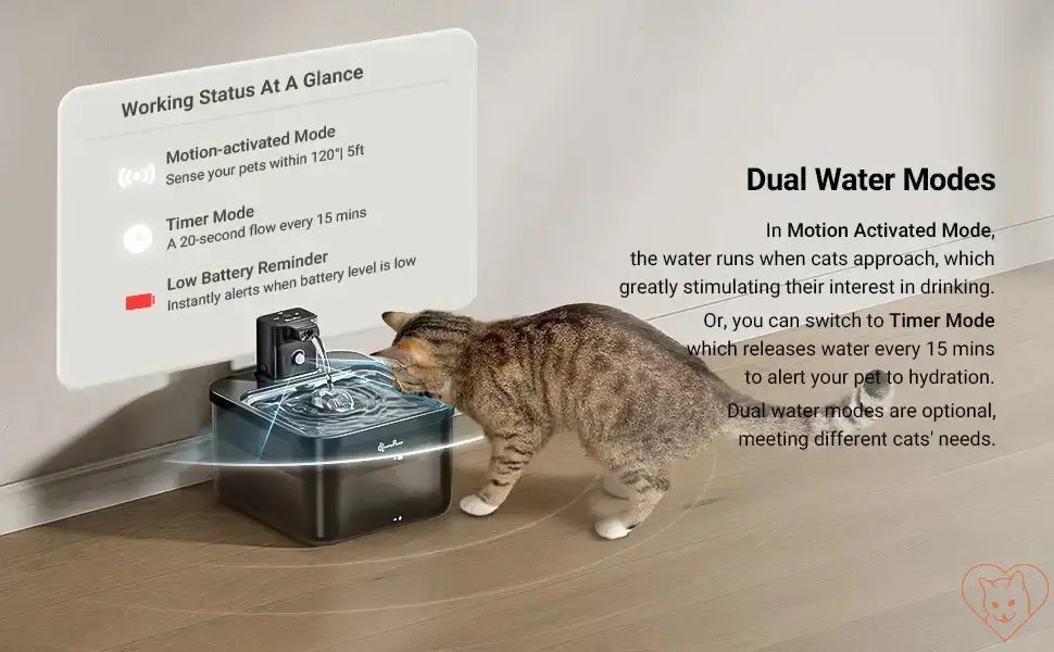 DownyPaws 2.5L Wireless Stainless Steel Cat Fountain Cat World