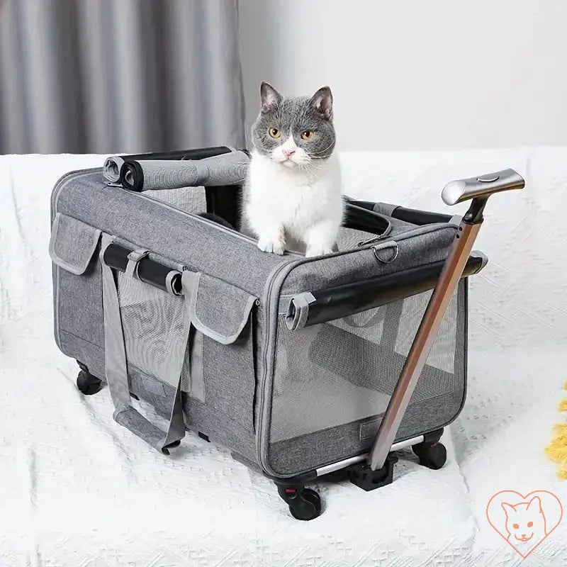 Extra Large Foldable Cat Travel Carrier with Trolley, featuring a cat sitting inside and a convenient handle.