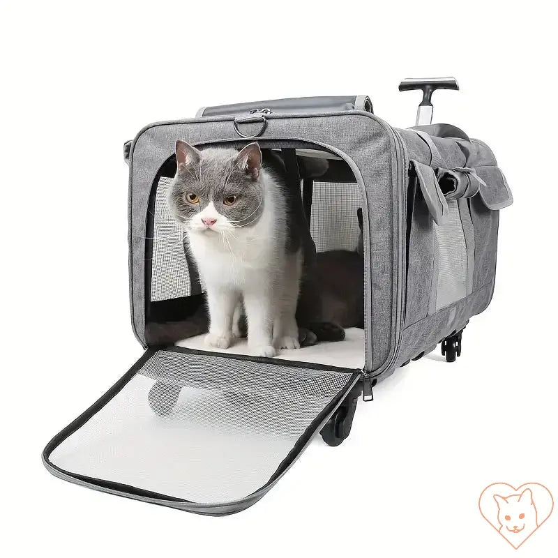 Extra large foldable cat travel carrier with trolley, featuring a cat comfortably sitting inside.