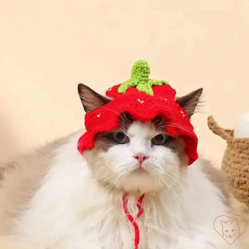 Hand-knitted red strawberry cat hat on a fluffy cat, ideal for travel and stylish pet attire.