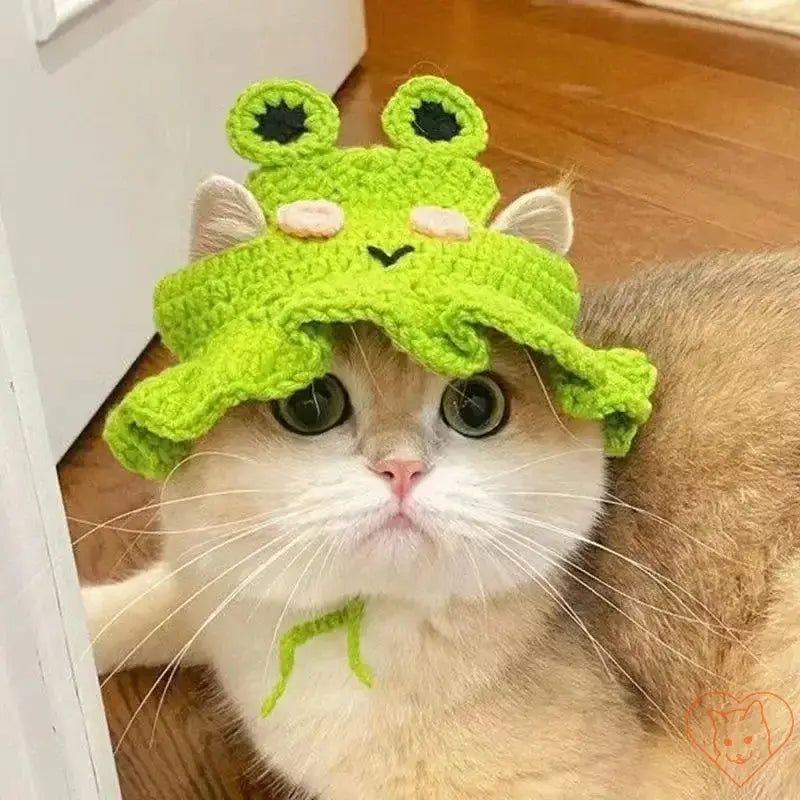 Hand-knitted frog cat hat on a light-colored cat, perfect for travel and stylish pet accessories.