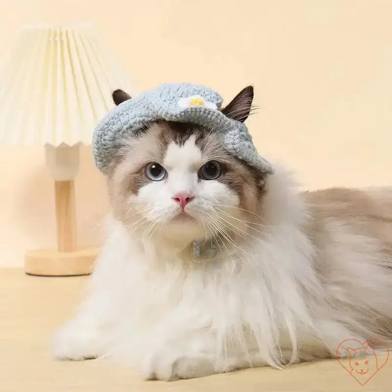 Hand-knitted cat hat in gray on a fluffy cat, perfect for travel or stylish everyday wear.