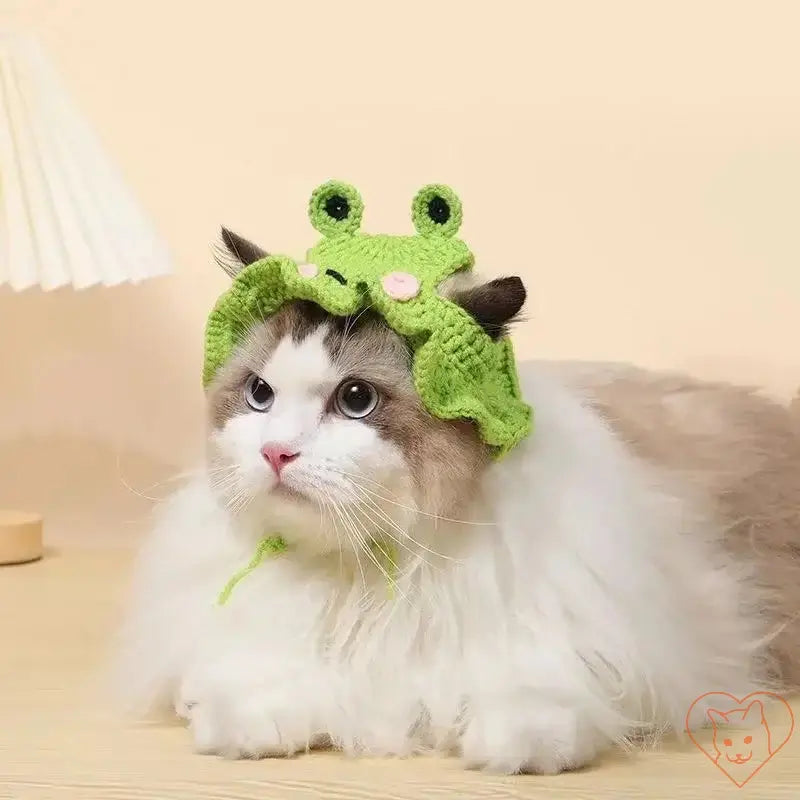 Hand-knitted green frog hat on a fluffy cat, perfect mini accessory for travel or fun occasions.