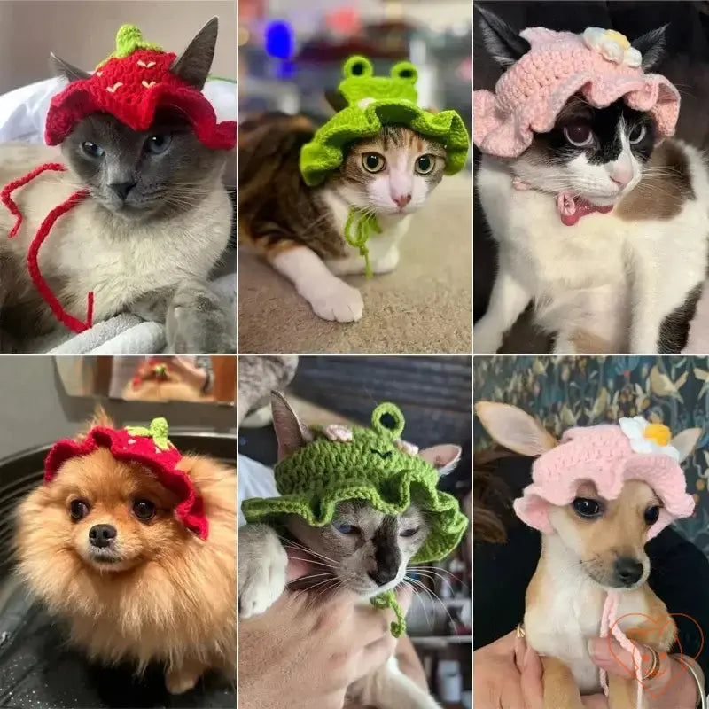 Collage of pets wearing colorful hand-made cotton hats for charming photos and fun moments.