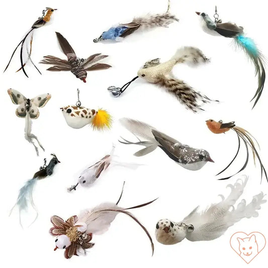 Variety of colorful feather toys and accessories for pets, including birds and butterflies, perfect for playful engagement.